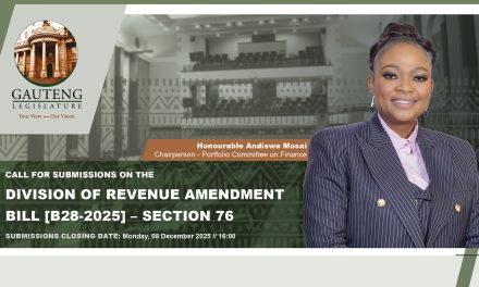 FINANCE PORTFOLIO COMMITTEE – CALL FOR SUBMISSIONS ON THE DIVISION OF REVENUE AMENDMENT BILL [B28-2025] – SECTION 76