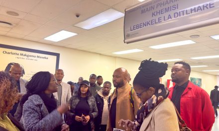 HEALTH AND WELLNESS PORTFOLIO COMMITTEE INTENSIFIES OVERSIGHT AT CHARLOTTE MAXEKE JOHANNESBURG ACADEMIC HOSPITAL